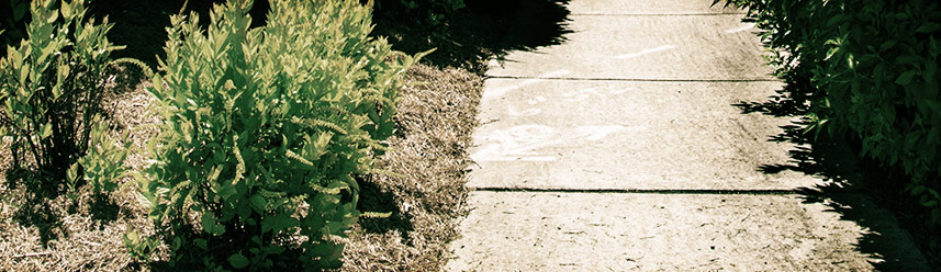 DDOS在线压力测试